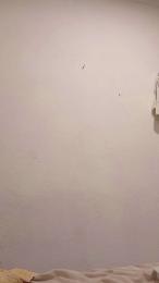 Casadobisexac webcam model stream image
