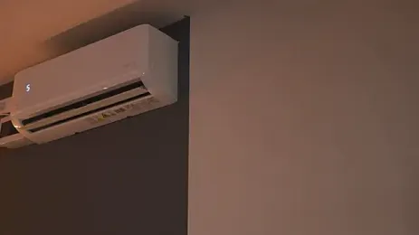 Evelyn_Evyyy webcam stripchat model stream image