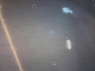 Alisson Bonnet webcam preview