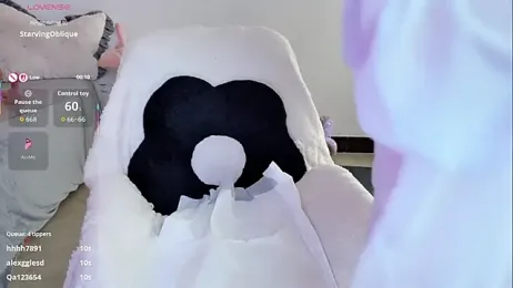 BoxedGyre- webcam model stream image