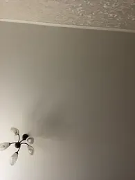 Poly_Nick webcam stripchat model stream image