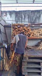 Morenogatorj99 webcam cam4 model stream image