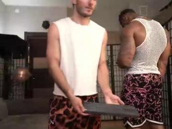 paul_rubini webcam chaturbate model stream image