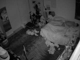 voyeurcam-hornyhostel-02 webcam model stream image