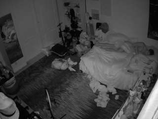 voyeurcam-hornyhostel-02 webcam model stream image