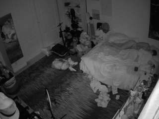 voyeurcam-hornyhostel-02 webcam model stream image