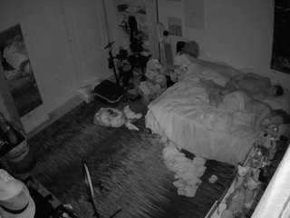 voyeurcam-hornyhostel-02 webcam model stream image