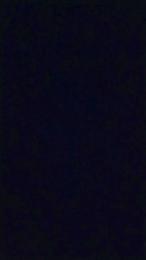 Luzzl webcam model stream image