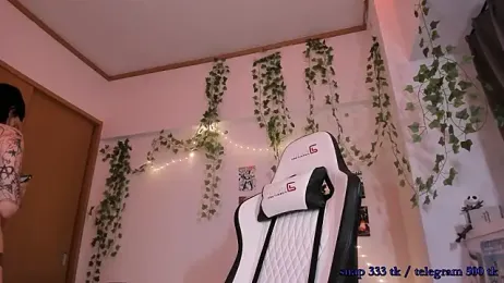 Viv_Player webcam model stream image