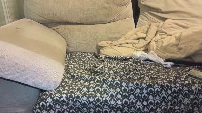 disop webcam model stream image