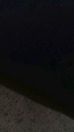willyponton webcam model stream image