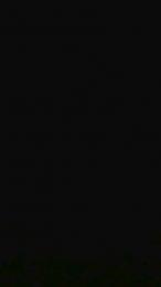 XTartadequesoX webcam model stream image