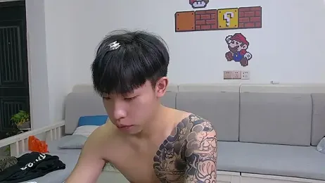 Similu-001 webcam model stream image