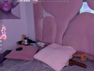 ambarasm webcam model stream image
