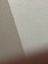 Mr_Genghis_Khan webcam model stream image