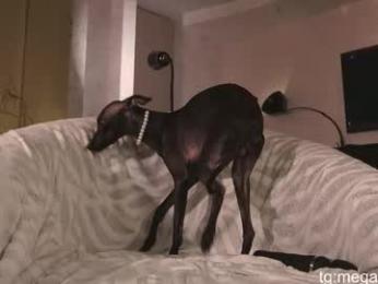 megan_galactica webcam model stream image