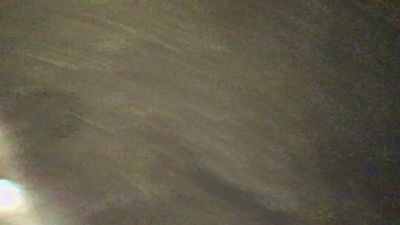 quercusroboris webcam model stream image
