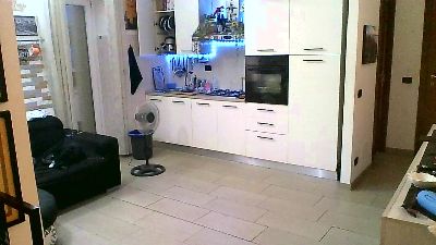 drunk3n1 webcam model stream image