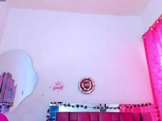 estrella-rousel webcam model stream image