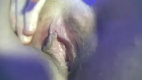 Lepimentsurpattes webcam model stream image