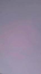 Electra_porn webcam model stream image