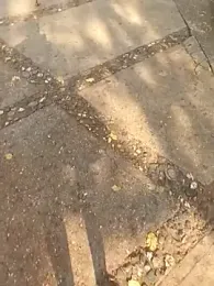 andresj22hot webcam model stream image