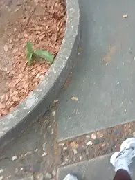 andresj22hot webcam model stream image