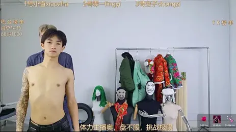 HA_HA_ webcam model stream image