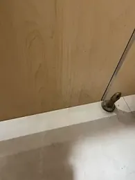 xiao-Lin webcam model stream image