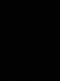 xiao-Lin webcam model stream image