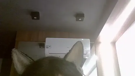 SkinnyKitten webcam model stream image