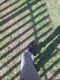 FreezingTie850 webcam model stream image