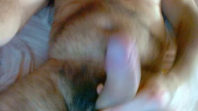 diabolo1969 webcam model stream image