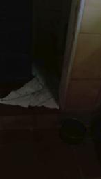Daca5001 webcam model stream image