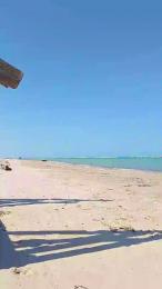 Danyblack1985 webcam cam4 model stream image