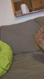 Pareja_81 webcam preview