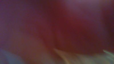 comus4 webcam model stream image