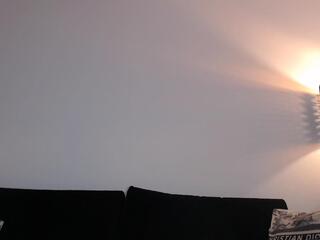 Indy Harrison webcam model stream image