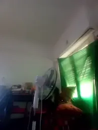 shaynarg webcam stripchat model stream image