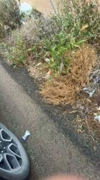 Peludeteee webcam cam4 model stream image