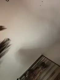 arieel__722 webcam model stream image