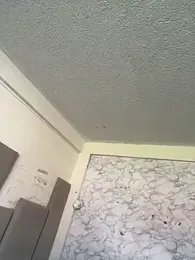 Baby__Otaku webcam model stream image