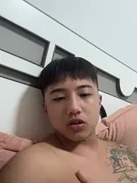 8k6660 webcam model stream image