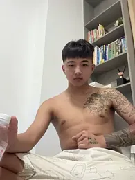 8k6660 webcam model stream image