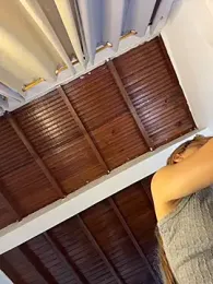 emiss_ webcam model stream image