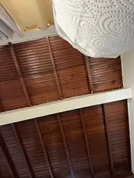 emiss_ webcam model stream image