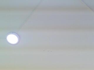 Lilith Lambert webcam model stream image