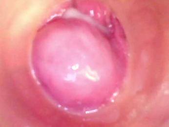 Shannon-kane webcam bongacams model stream image