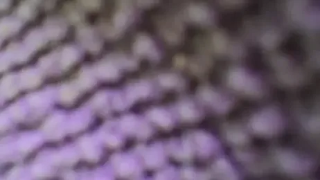 sympatrique webcam model stream image