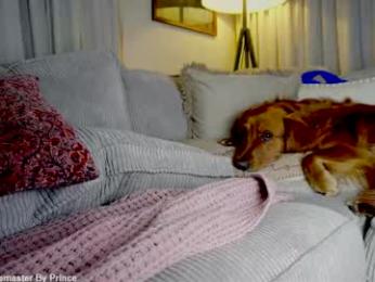 x_lily_x webcam chaturbate model stream image